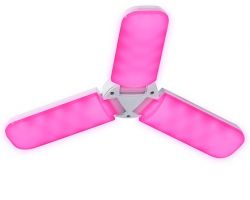 019805c8410711ecba9a3cecef80dc95_f0e22f9ba5cc11edbaa23cecef80dc95