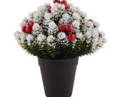 08fbdf4034d011edbaa23cecef80dc95_0c9c0e4c34d011edbaa23cecef80dc95