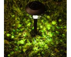 1153593ef7b911eebab73cecef80dc95_11535975f7b911eebab73cecef80dc95