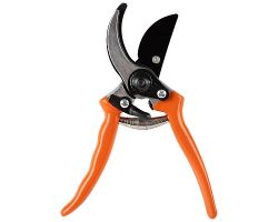 19972bb7a2cd11edbaa23cecef80dc95_1feabda6a2cd11edbaa23cecef80dc95