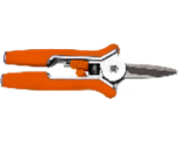 1e346ed4f62411eebab73cecef80dc95_1e346ef9f62411eebab73cecef80dc95