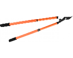 3185144bf62411eebab73cecef80dc95_3185145ef62411eebab73cecef80dc95