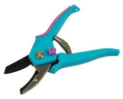 41469bb8d4e711ecba9e3cecef80dc95_b5862ddbd4e711ecba9e3cecef80dc95