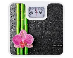 4577ee949c2411ebbb166466b3016d90_a5bf78083c8511ecba9a3cecef80dc95