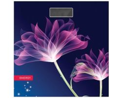 4577ee9a9c2411ebbb166466b3016d90_a2fe4059bba211ecba9c3cecef80dc95