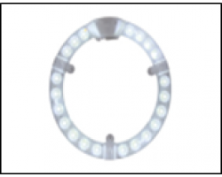 4d2af9d646ed11eebaaa3cecef80dc95_4d2afce046ed11eebaaa3cecef80dc95