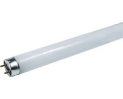 85c368389c2611ebbb166466b3016d90_0e366e579c4511ebbb166466b3016d90