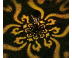 87f7569ff7b911eebab73cecef80dc95_87f7598ef7b911eebab73cecef80dc95