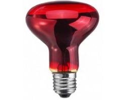 a9110e28258f11ecba9a3cecef80dc95_9346c17a25a311ecba9a3cecef80dc95