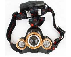 c08e0436d74711ecba9e3cecef80dc95_e75abd66d74711ecba9e3cecef80dc95