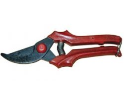 ecb9a35ea44311ecba9c3cecef80dc95_0da0d287a44411ecba9c3cecef80dc95