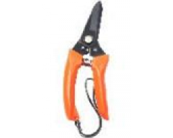 fd371adef62211eebab73cecef80dc95_fd371b09f62211eebab73cecef80dc95